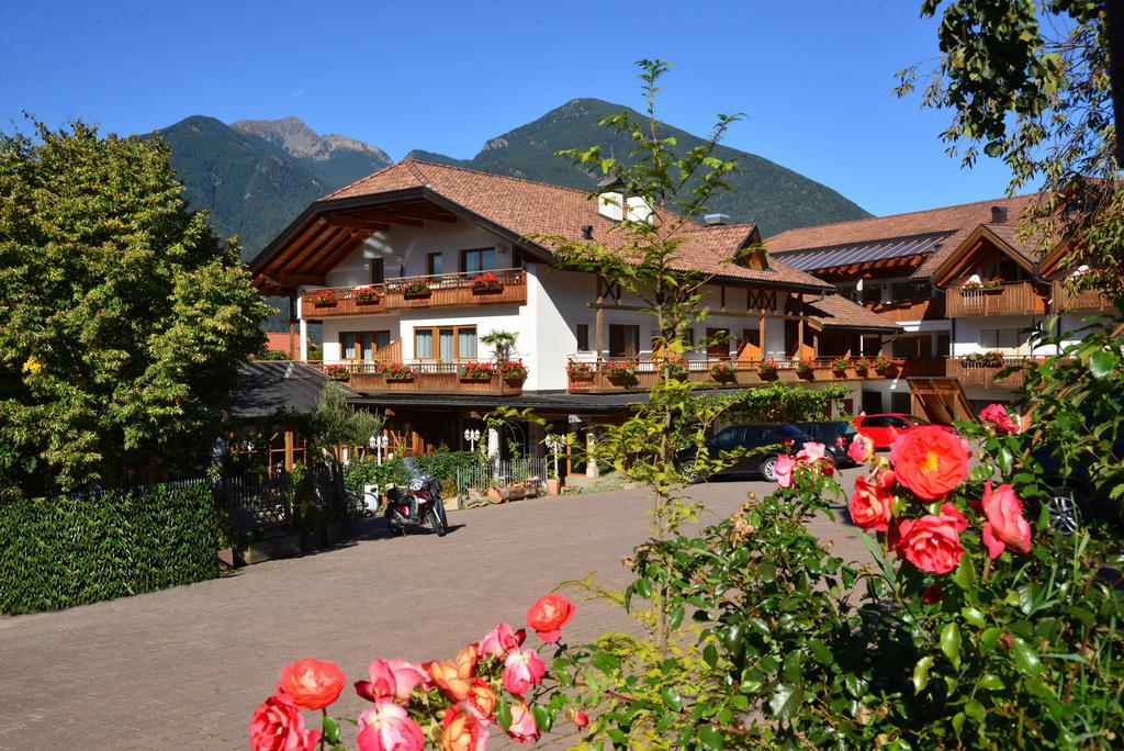 Hotel Hochrain Rasa エクステリア 写真